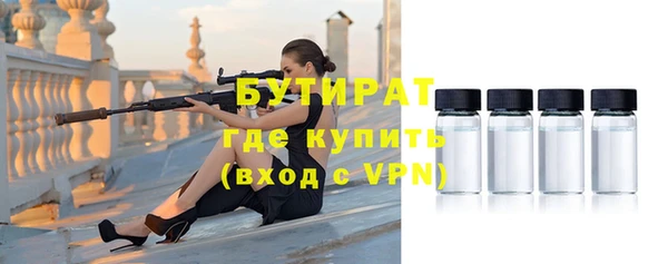 прущие грибы Дмитров