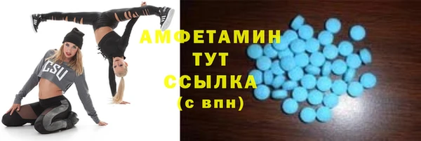 прущие грибы Дмитров