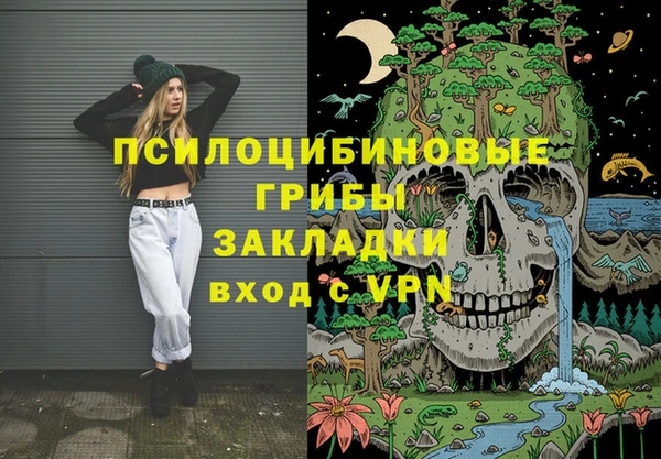 прущие грибы Дмитров