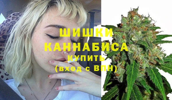 спиды Дмитриев