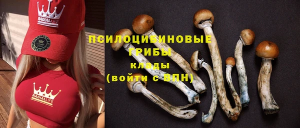 спиды Дмитриев