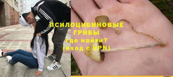 спиды Дмитриев